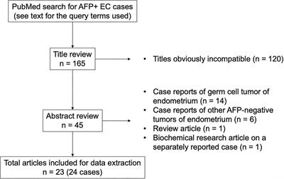 α-Fetoprotein-Producing Endometrial Carcinoma Is Associated With Fetal Gut-Like and/or Hepatoid Morphology, Lymphovascular Infiltration, TP53 Abnormalities, and Poor Prognosis: Five Cases and Literature Review